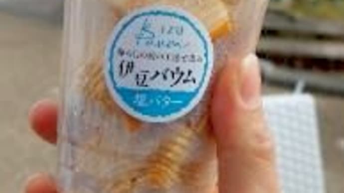 熱海旅行(伊東・熱海編)