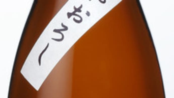 ひやおろし発売開始