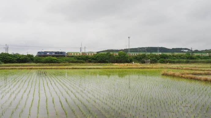 2021年6月16日 山陽線 56レ 福山通運