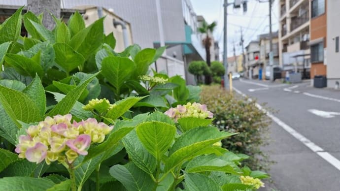横綱・豊昇龍、優勝の大の里に「今場所は強かった」V逸を潔く受け止める・・・ 大横綱を目指してほしいね!