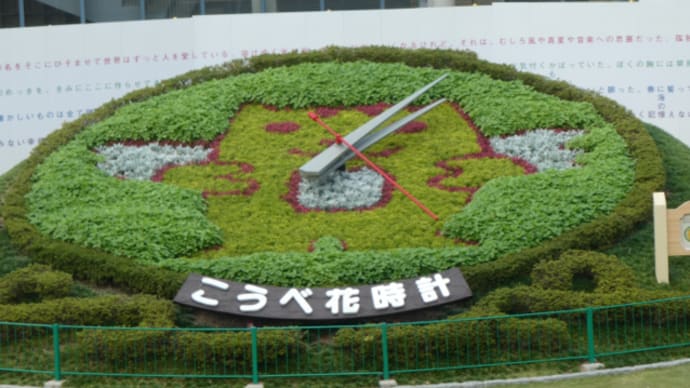 神戸花時計「神戸市長選挙」 on 2021-10-17