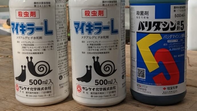 夜な夜な宇宙をさまよい、サボってフライフィッシング