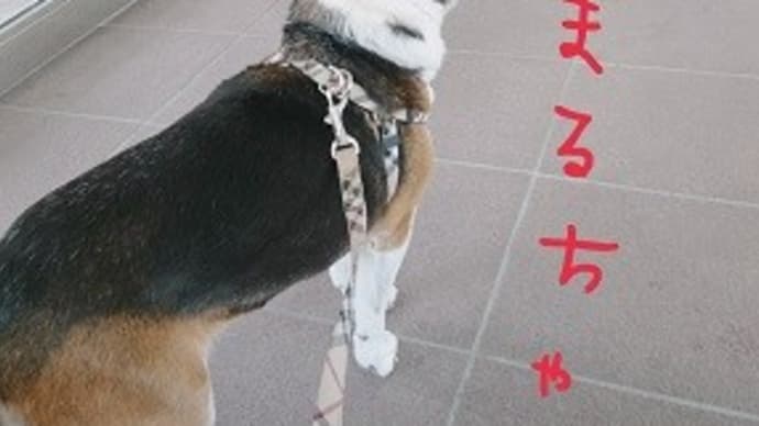病院、グイグイ行きます。