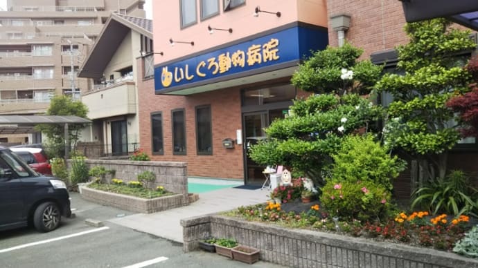 赤塚山公園