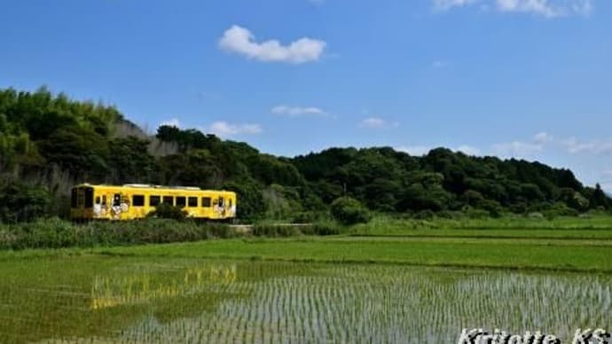 ローカル線の田園風景