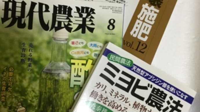 【年末大掃除】お手洗いタイル㊗️トイレフレッシュ吹きかけると…もう綺麗ピカピカ