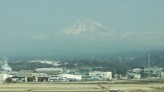 横浜:戸塚の同期の仲間(霜月会)で河津桜を見る