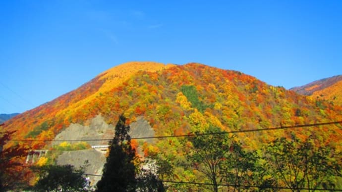 たまに 温泉