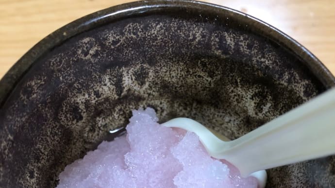 番外編 簡単 シャーベットの作り方