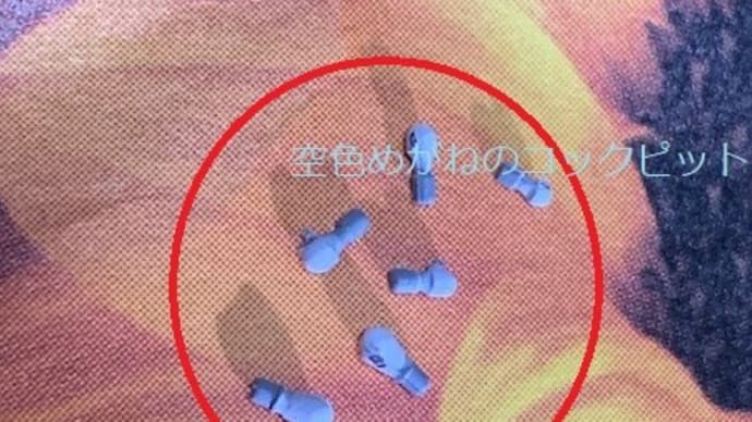 ほぼ毎日「おおすみ」を作る。その9