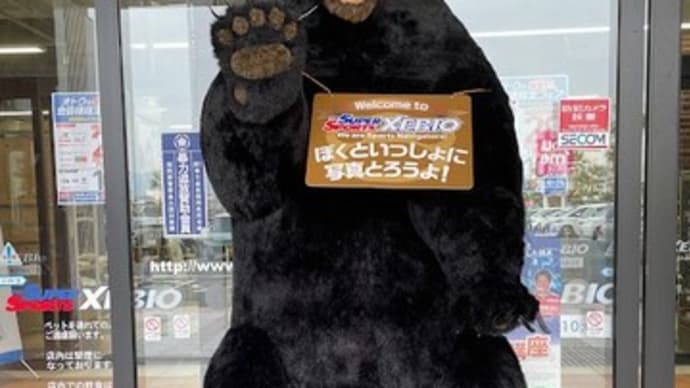 熊