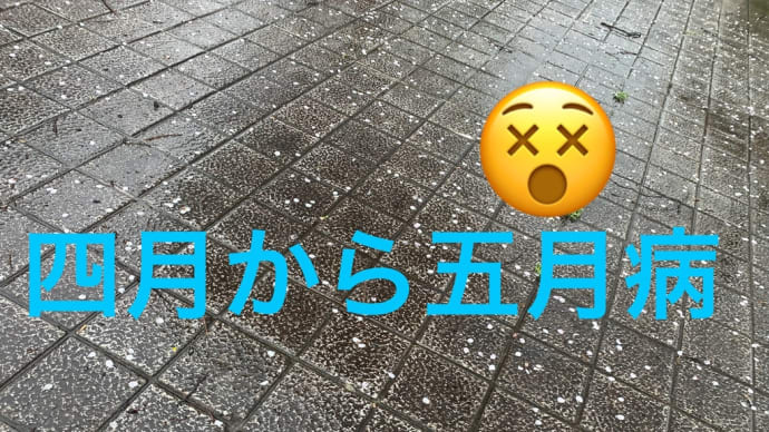 四月半ばで五月病!既に五月病!何もかもが嫌!苦虫を噛み潰した顔と心!orz 心の叫び 倦怠感 疲労感 憂鬱感 厭世観 自己嫌悪 どうとでもなれ感 放棄感 対処法は何もしない事!自然に消えるのを待つ!