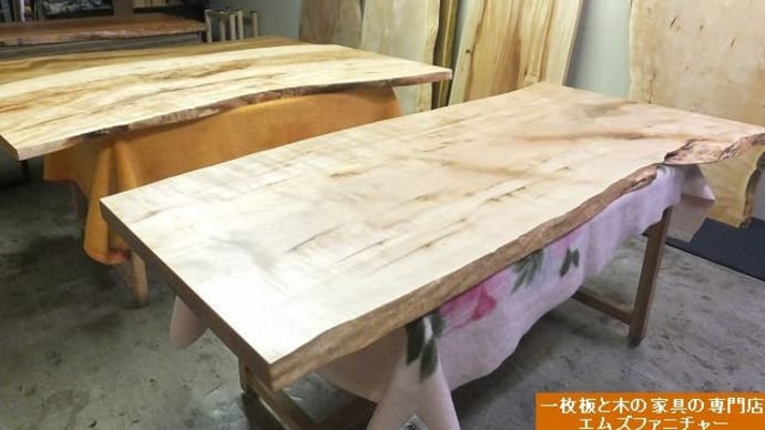 １２５４、【大阪のお客様へお届け前の最終仕上げ】カエデの一枚板テーブル。オイル仕上げと紙やすりをあてる。一枚板と木の家具の専門店エムズファニチャーです。