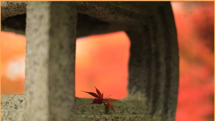 霜降