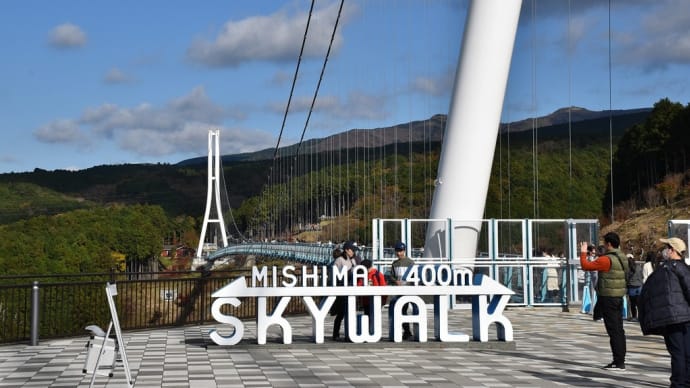 もみじ狩り　静岡県三島市　三島スカイウォーク（12）