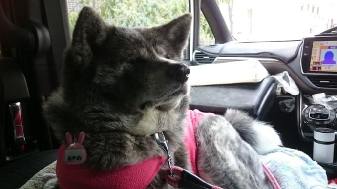 診察は車で待ちます