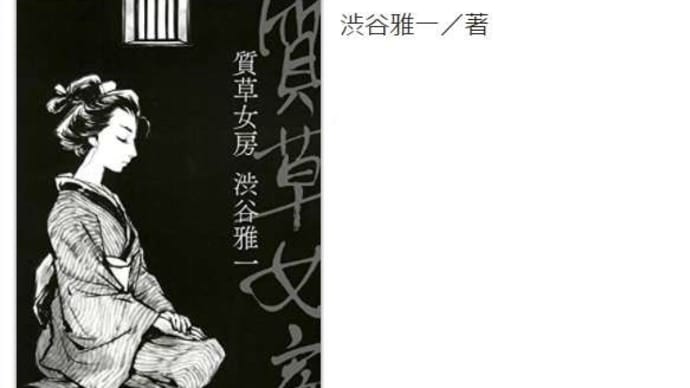 第12回角川春樹小説賞受賞作 『質草女房』