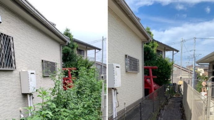 防草シートが張られているにもかかわらず草におおわれてしまった通路の除草作業
