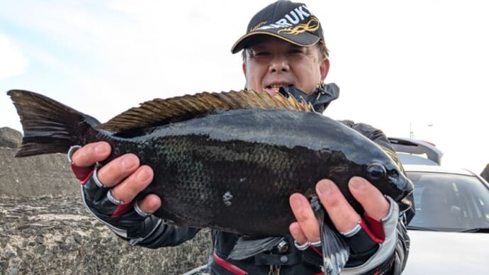 南伊豆 下流 今日の釣果