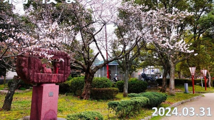米子桜まつり2024　湊山公園Ⅳ　3月31日