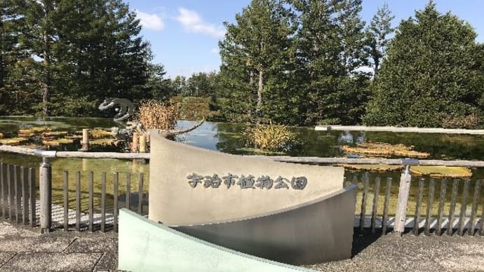 宇治植物園・紅葉