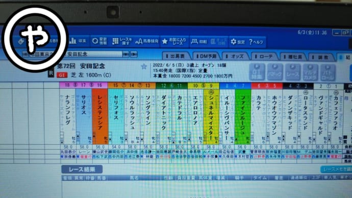 安田記念、二黒大安ハマる馬