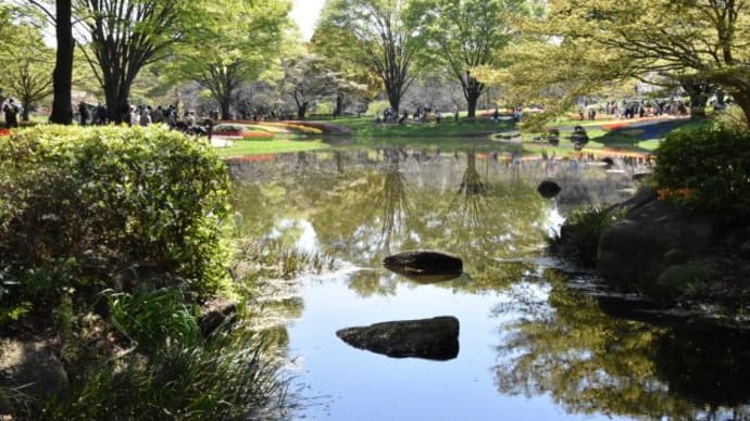 昭和記念公園　池に映るチューリップの景色　　　5