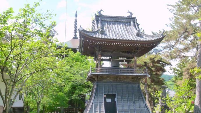 初夏の信州･･･上田・・・信濃国府・・国分寺・・・藤の花の咲く風景