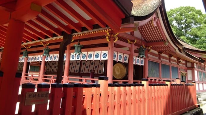 ”津島歴”1年となりました。津島神社参拝。