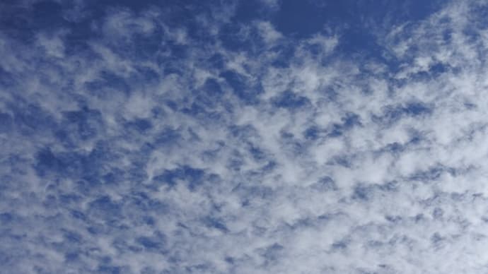 雲の流れとムクドリの飛翔