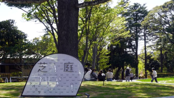 千葉公園~芝庭 もうすぐオープン