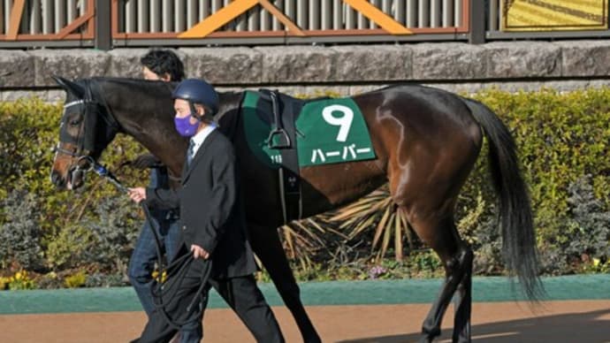 グランディアは6着でした