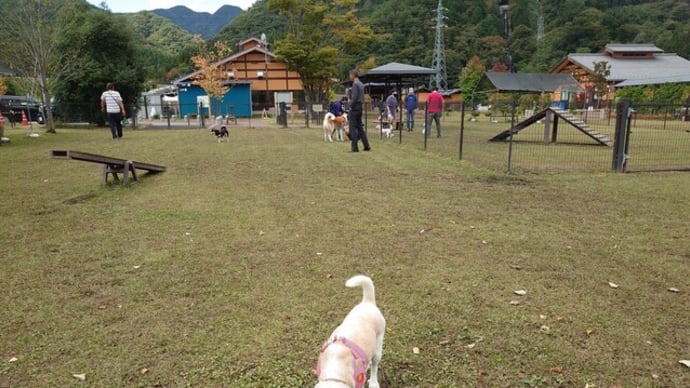 今年初めてのお出かけ