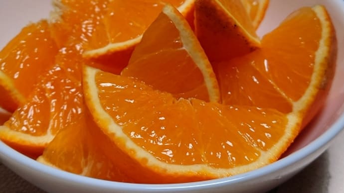 冬ごもりのような1日 / 愛媛まどんな