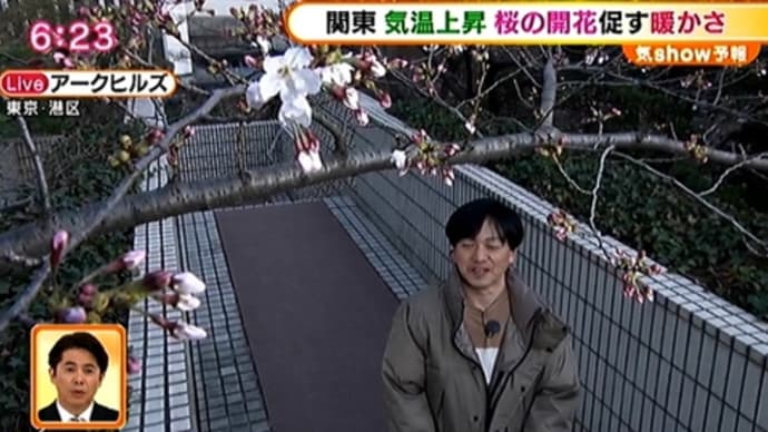 ホテル椿山荘東京の桜