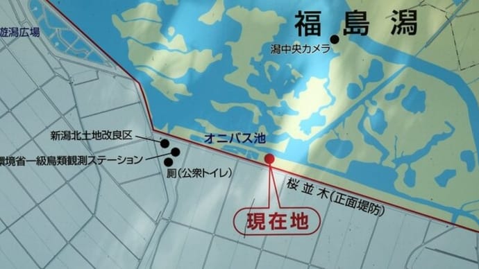 池と沼
