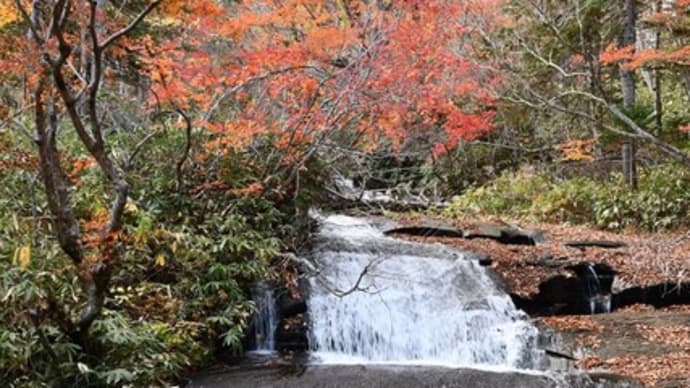 滝と紅葉