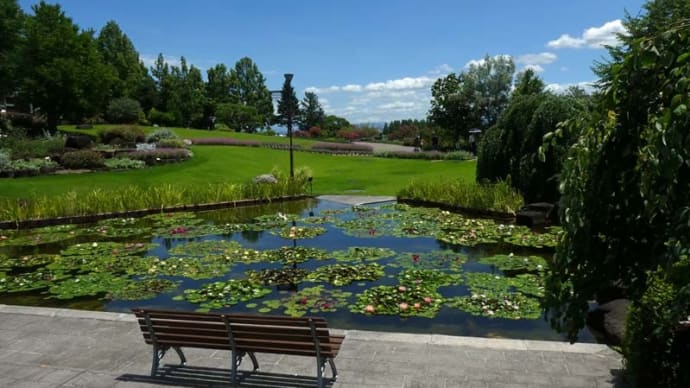 草津水生植物公園 みずの森 (12)