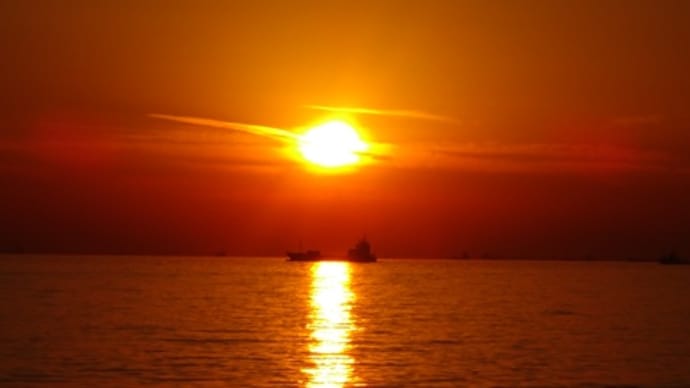 「いつも応援してるよ」-検見川浜駅北口で朝宣伝、日中は会議、最後は夕陽