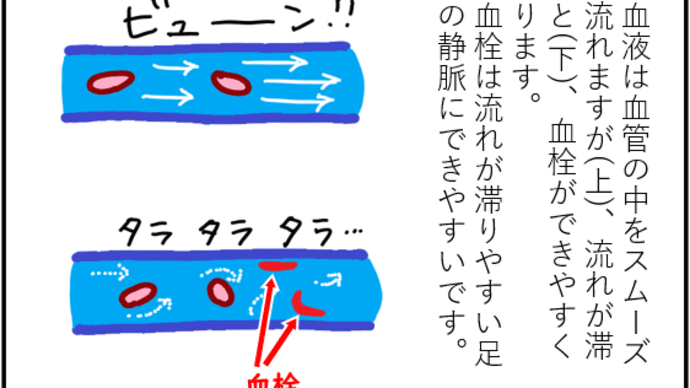 運動不足は命の危険につながります
