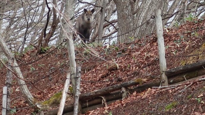 2日目　霧が・・・　小布施へ・・・