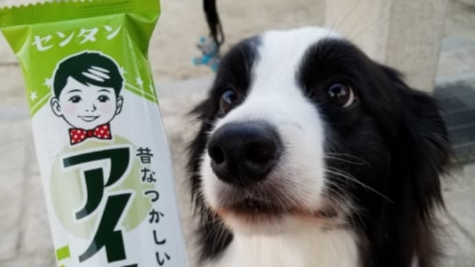 ママはアイスでボクは水