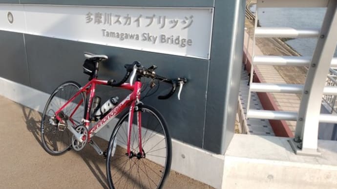 2022cycling Act12 多摩川スカイブリッジ
