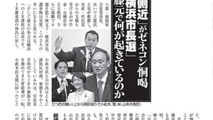公費で交尾を恐怖するゼネコン((´∀`))ケラケラ