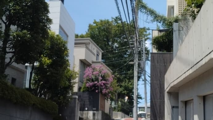 梅雨が明けたら夏本番