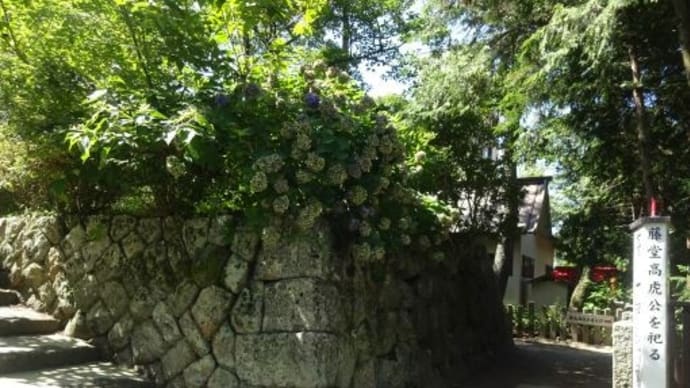 【2日目行動開始・津城跡】お父さんと再び津②2022/7/24