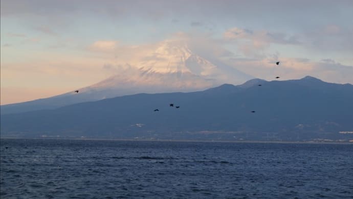 西伊豆からの夕刻の富士山