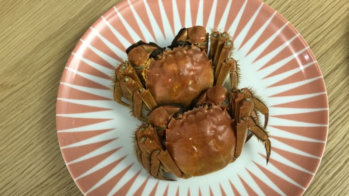 久しぶり!おうちで上海蟹ナイト