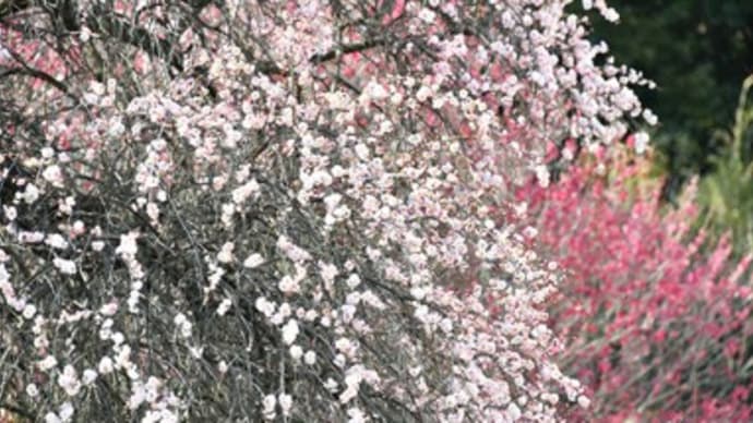 先生ガチャ? 〜大きく動く教員採用の基準〜