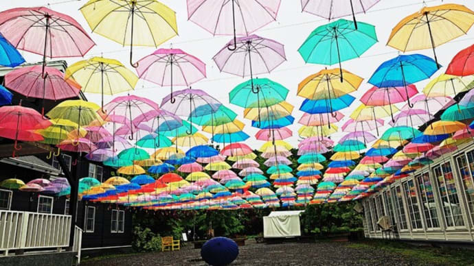 雨の十勝ヒルズ行き